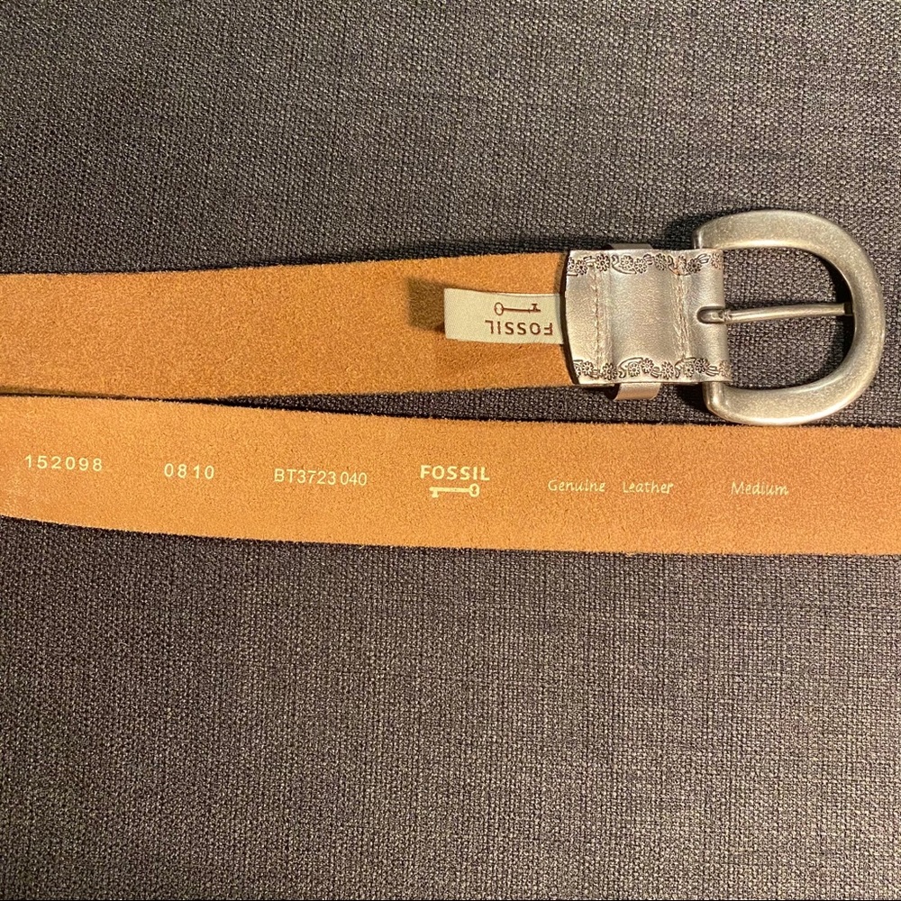 Fossil Belt - Picture 6 of 8